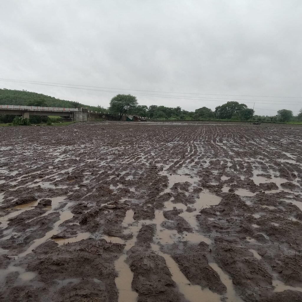 Water ruined the hard work of farmers, flood of Alon river washed away the hard work of farmers, lush green fields became barren