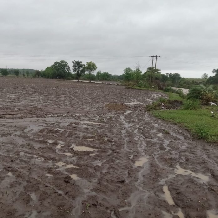 Water ruined the hard work of farmers, flood of Alon river washed away the hard work of farmers, lush green fields became barren