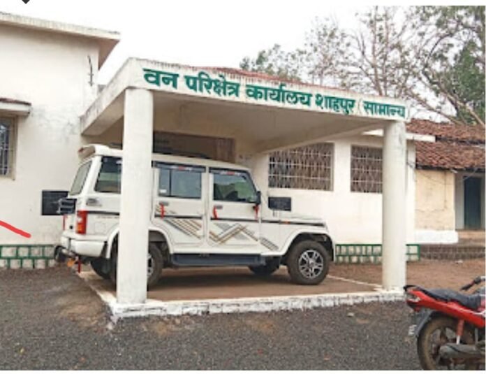 Forest guard Manoj Dubey is sitting in Shahpur forest range with his feet firmly planted like Angad!