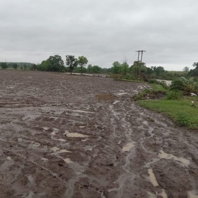 Who will compensate for the loss caused by the rain…? Life has been disrupted