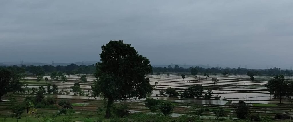 Who will compensate for the loss caused by the rain…? Life has been disrupted