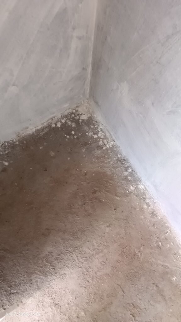 The home village of Bichhiya district president is running in full swing