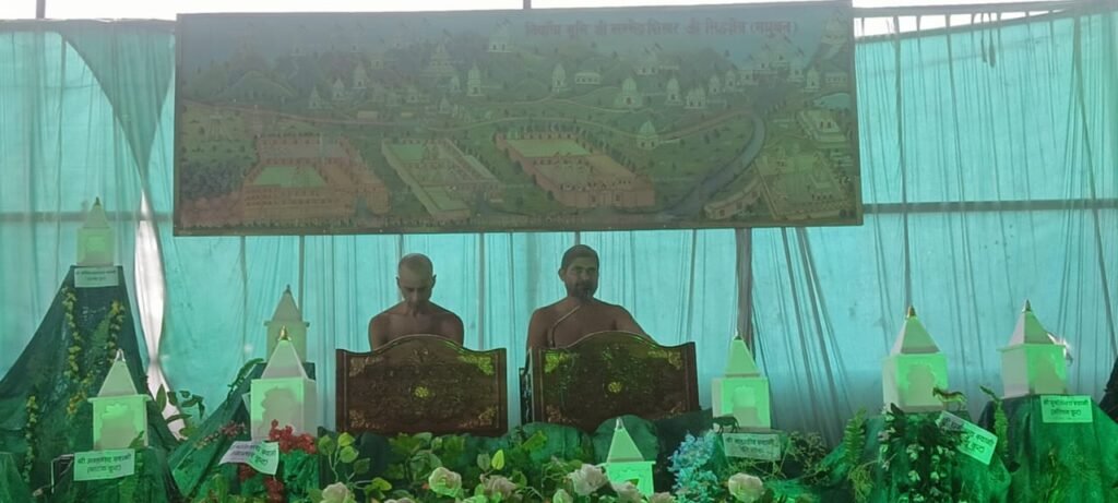 Replica of eternal Siddha Kshetra Shri Sammed Shikhar Ji in Pindrai, a small pilgrimage site