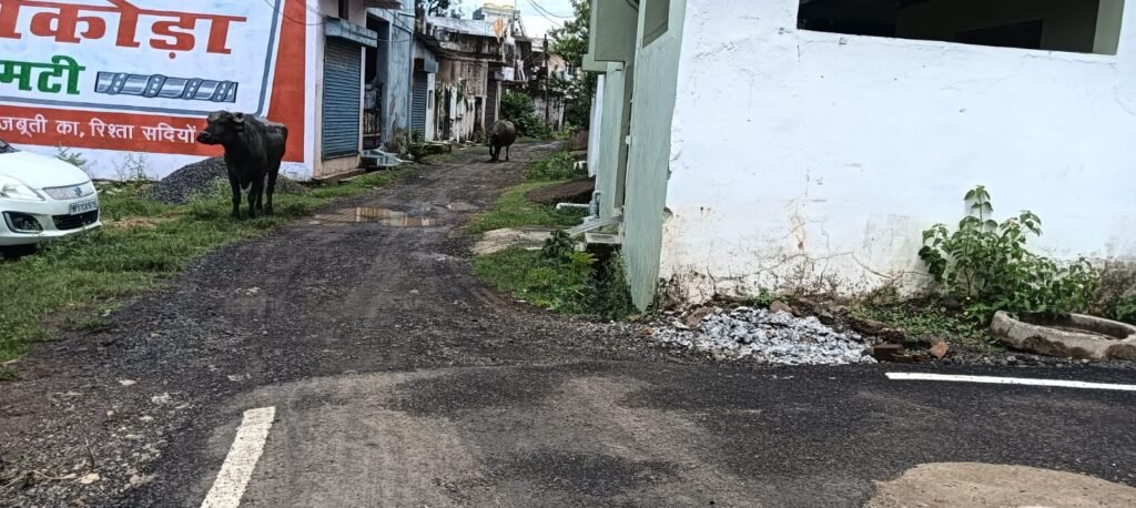 The colonizer of the district is colluding with the municipality and illegal colonies are being converted into legal colonies