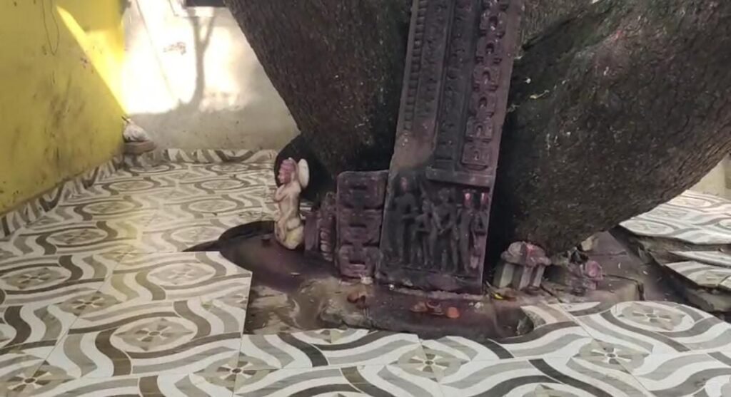The 200-year-old Khermaai temple is in a dilapidated condition, with 200-year-old idols kept in the open under a tree.