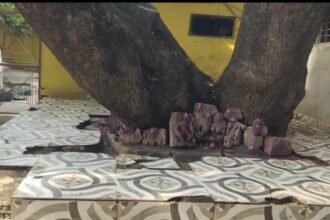 The 200-year-old Khermaai temple is in a dilapidated condition, with 200-year-old idols kept in the open under a tree.