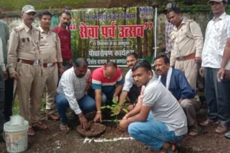 Forest department planted endangered medicinal plants in Seva Parv