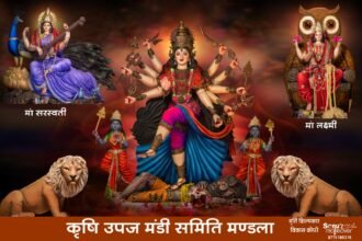 Grand Mataji immersion procession today at Krishi Upaj Mandi