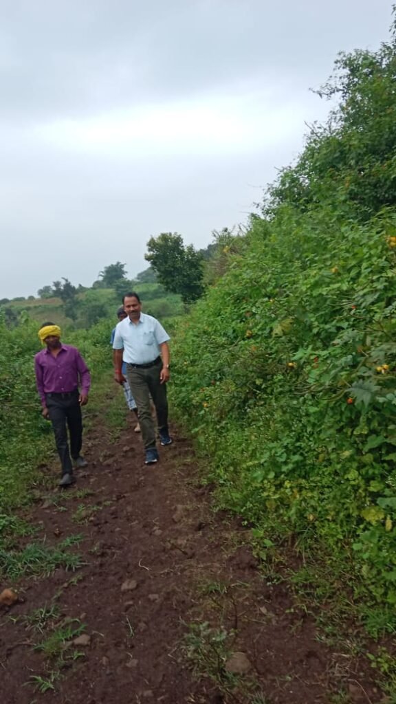 SDM inspected various works by visiting the village on foot.