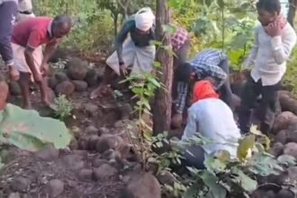 Police exhume body of youth after six months due to suspicion of murder