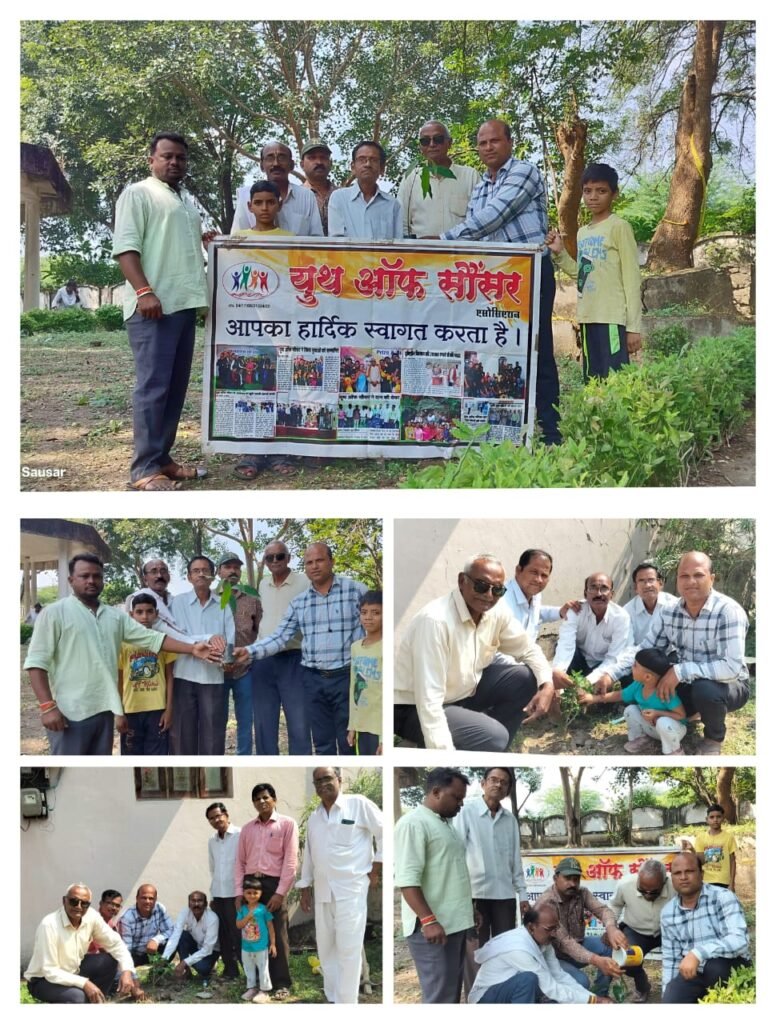 Meaningful initiative of "Clean Sausar, Beautiful Sausar"; massive tree plantation took place on Bhaidooj and birthday