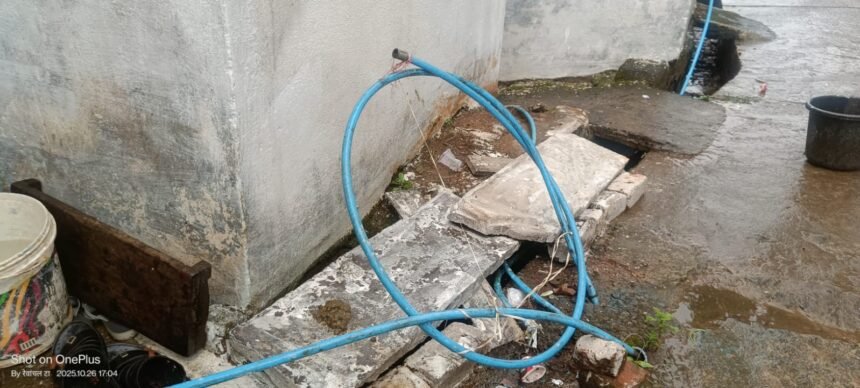 Confidence has fallen, the system is asleep—?The temples of education are now in ruins!