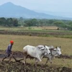 A massive tractor rally by the United Kisan Morcha on October 31st. Kisan Morcha organized a rally against government policies.