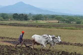 A massive tractor rally by the United Kisan Morcha on October 31st. Kisan Morcha organized a rally against government policies.
