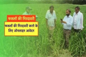 In Betul, 1,144 out of 1,169 farmers are fake! Major land records are tampered with, and the role of the Patwari is under suspicion.