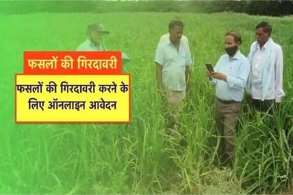 In Betul, 1,144 out of 1,169 farmers are fake! Major land records are tampered with, and the role of the Patwari is under suspicion.