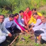 Tree plantation was done on the birthday at Maa Karma Dham Temple Siddha Shakti Peeth Barkheda Pathani.