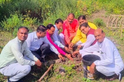 Tree plantation was done on the birthday at Maa Karma Dham Temple Siddha Shakti Peeth Barkheda Pathani.