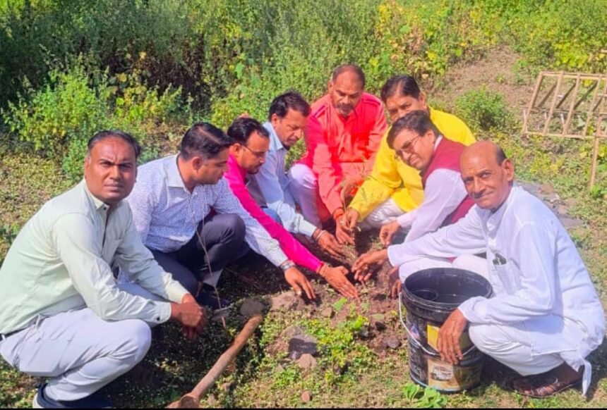 Tree plantation was done on the birthday at Maa Karma Dham Temple Siddha Shakti Peeth Barkheda Pathani.