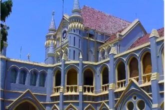 The High Court granted relief to the Agriculture Extension Officer who was transferred by the Collector due to political rivalry.