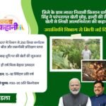 Rewanchal Times - Mandla, November 7, 2025 For all street vendors of the municipal body