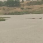 Illegal sand mining at the Tamsa River Ghats; sand mafia active in the uncontrolled Atraila-Jawa area, responsible officials remain mute spectators.