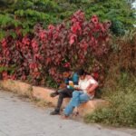 A pleasure ground by day and a haven for drug addicts by night, suffering from severe neglect despite millions spent on maintenance.